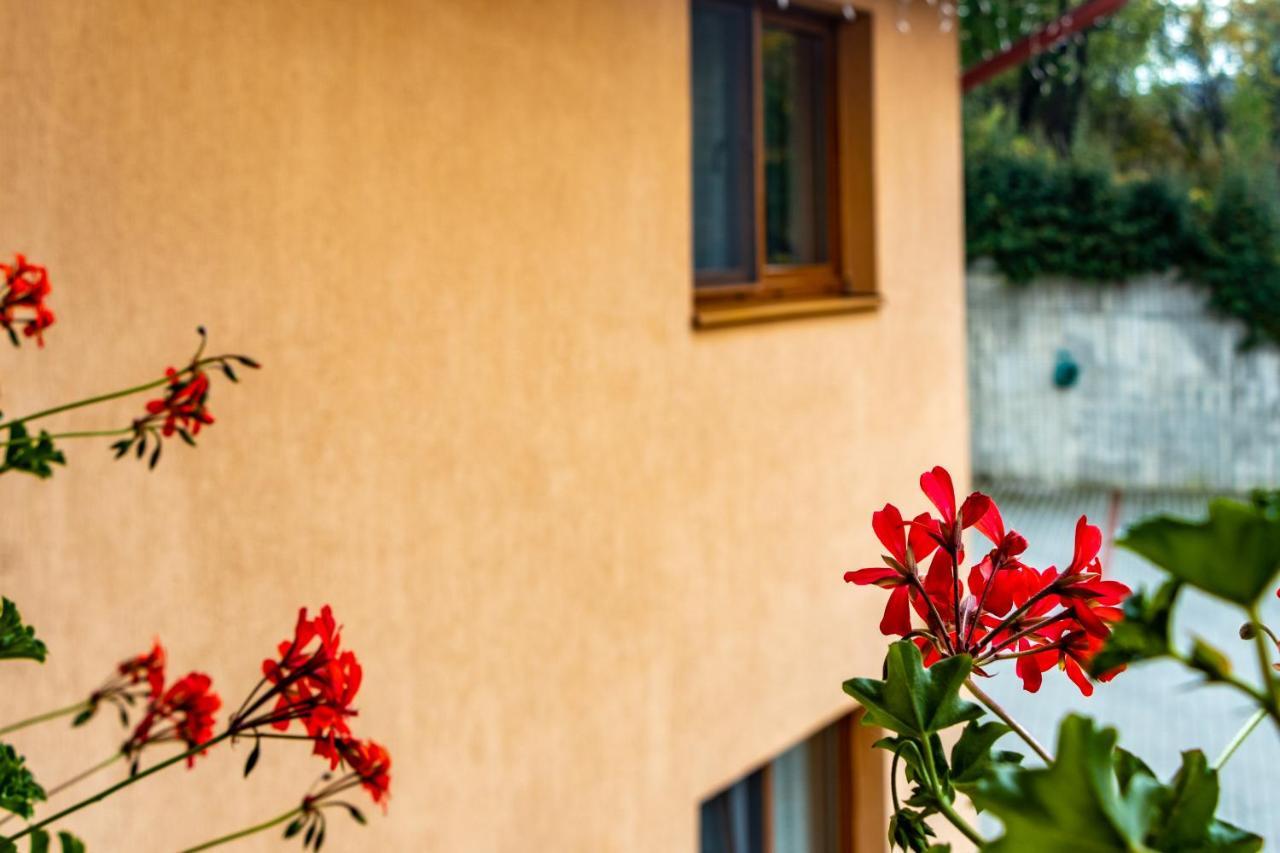 Casa Tofi Vendégház Aparthotel Praid Exterior foto